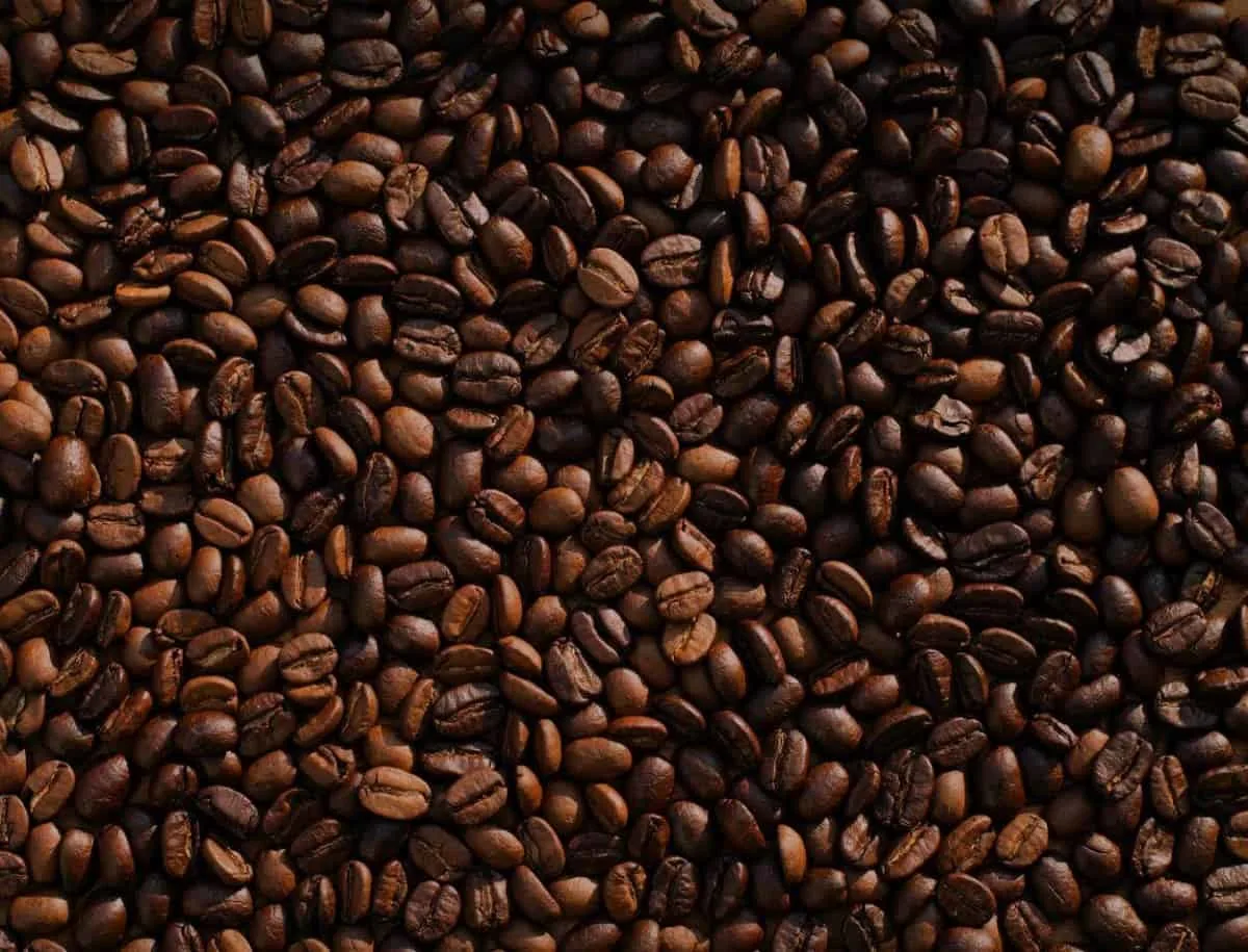 Picture of coffee beans
