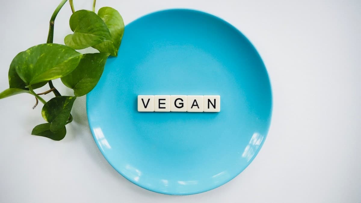  photo with a word vegan.
