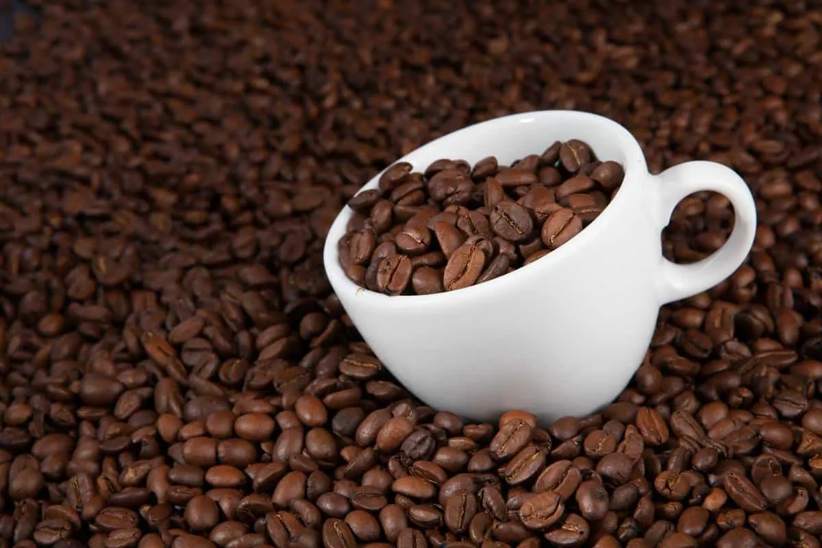 A photo of caffeine beans,