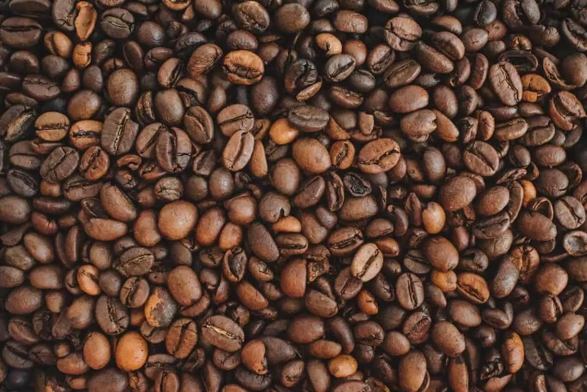 A photo of coffee beans