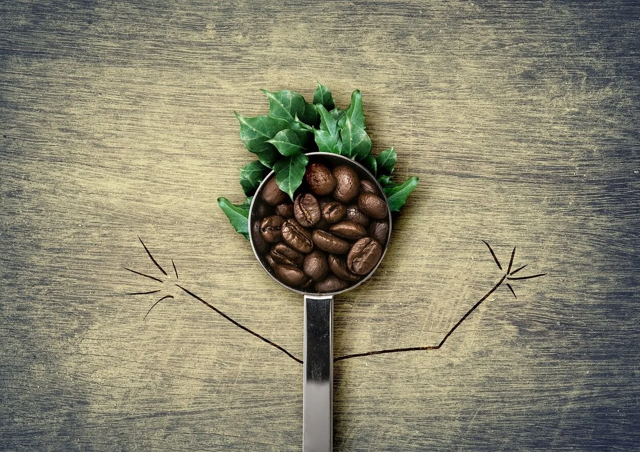 A cup of coffee beans with leaves.