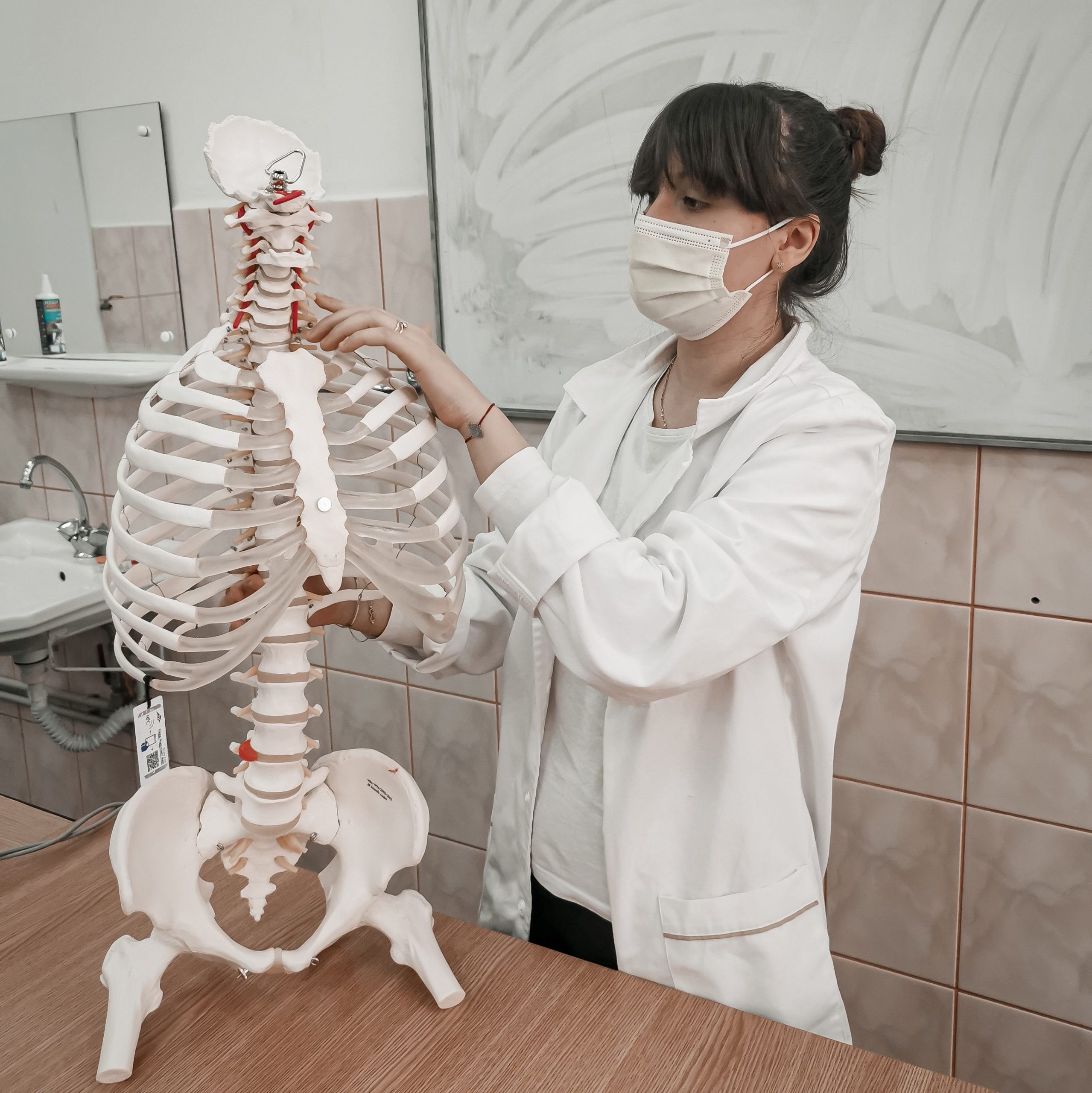 Doctor checking human skeleton