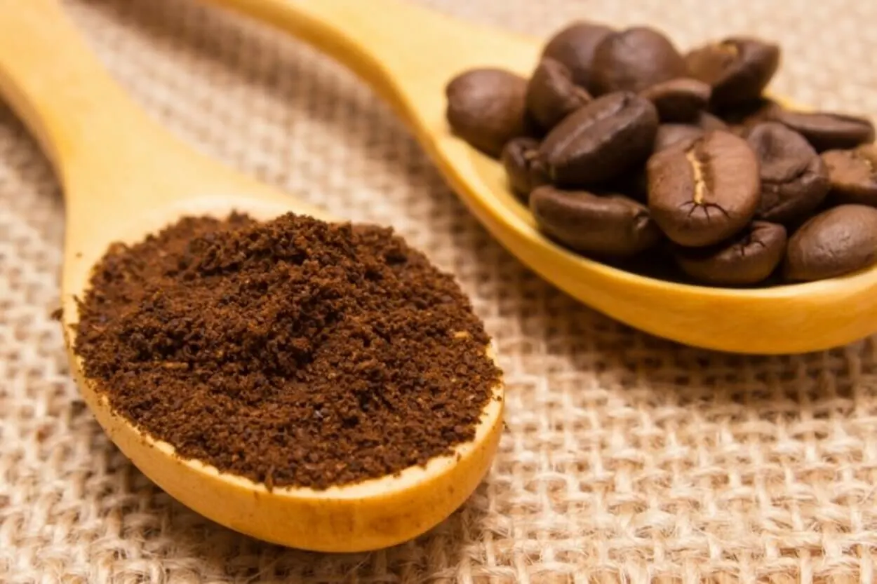 Image of coffee beans and powder which is great source of caffeine.