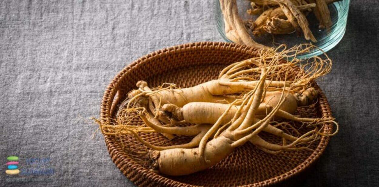 Ginseng is a natural thing and good for your health