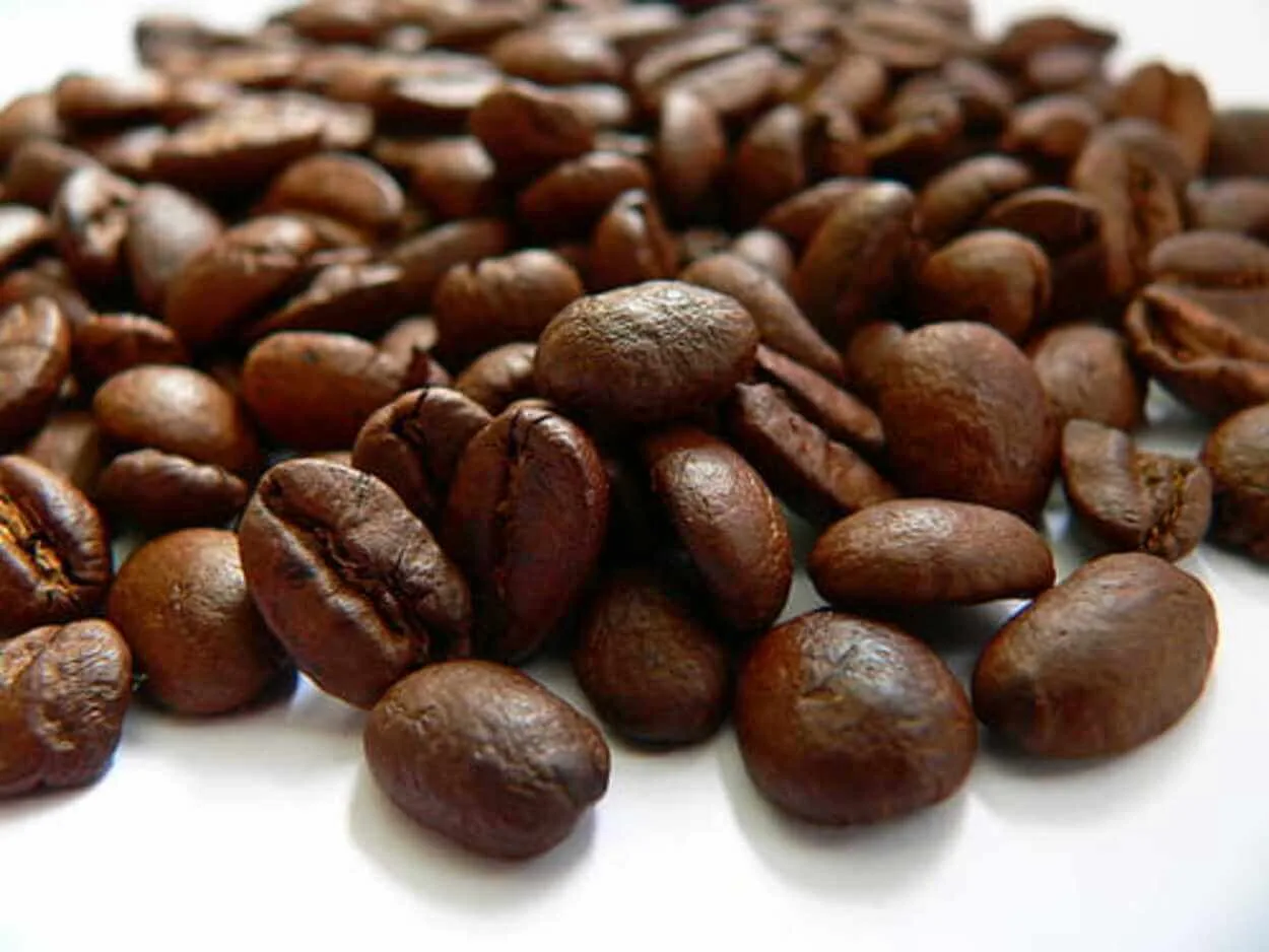 Caffeine comes from coffee beans