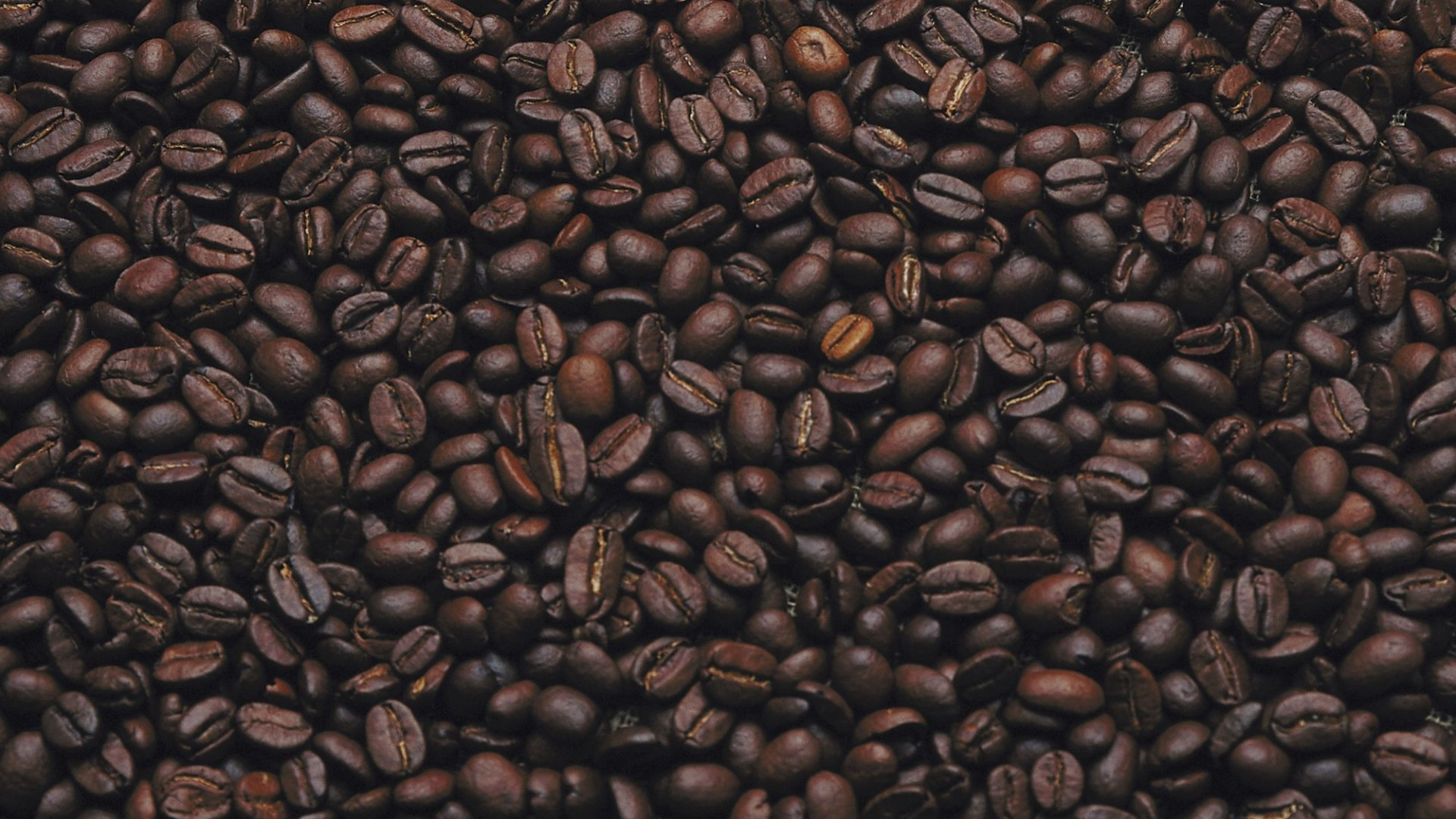 Caffeine derives from coffee beans